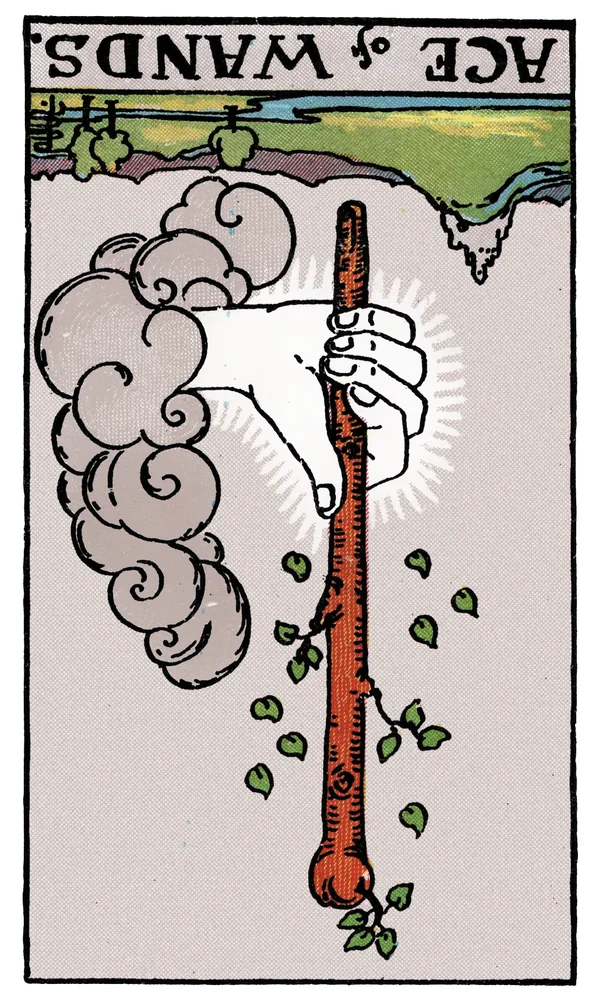 Tarot card Ace of Wands reversed