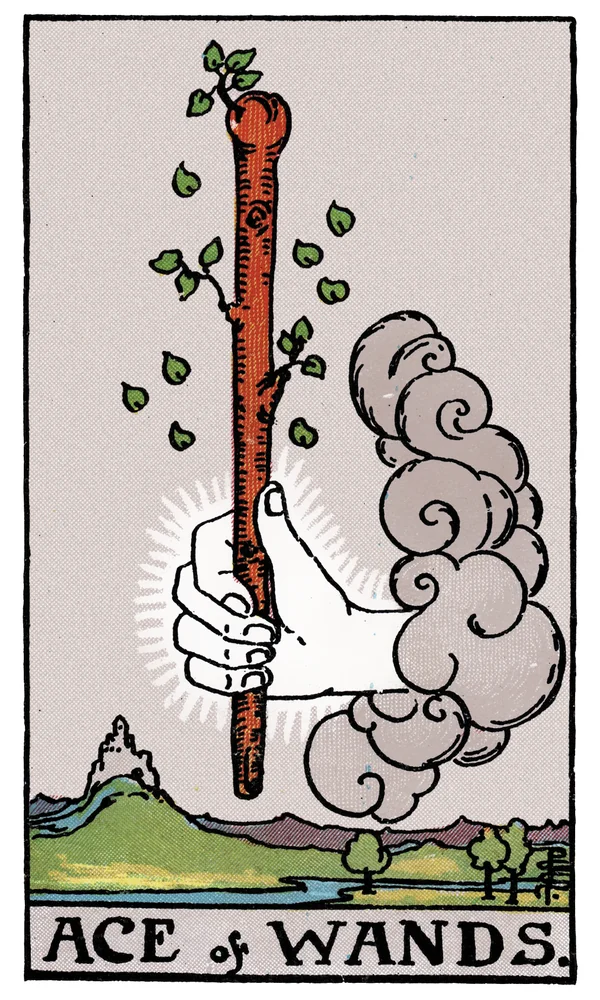 Tarot card Ace of Wands